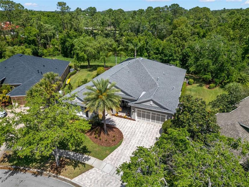 Picture of 14817 Tudor Chase Drive, Tampa FL 33626