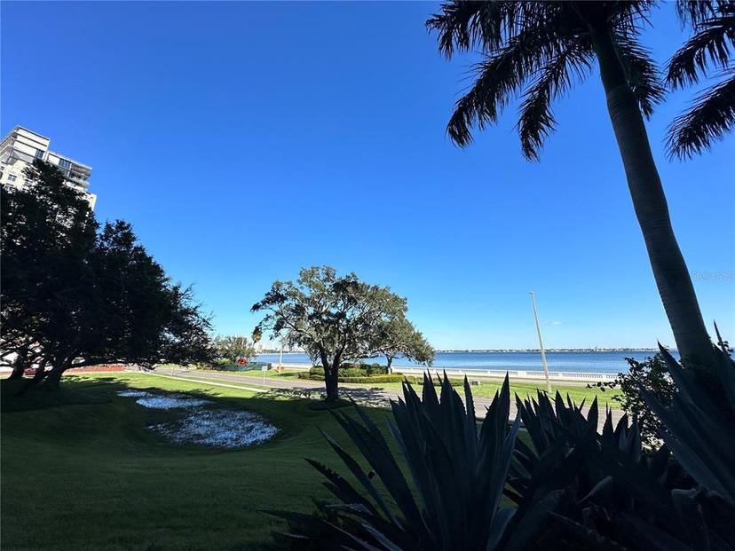 Picture of 3301 Bayshore Boulevard Unit 503, Tampa FL 33629
