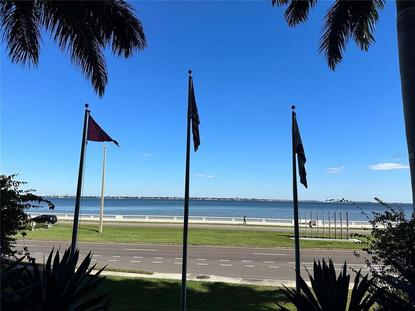 Picture of 3301 Bayshore Boulevard Unit 503, Tampa FL 33629