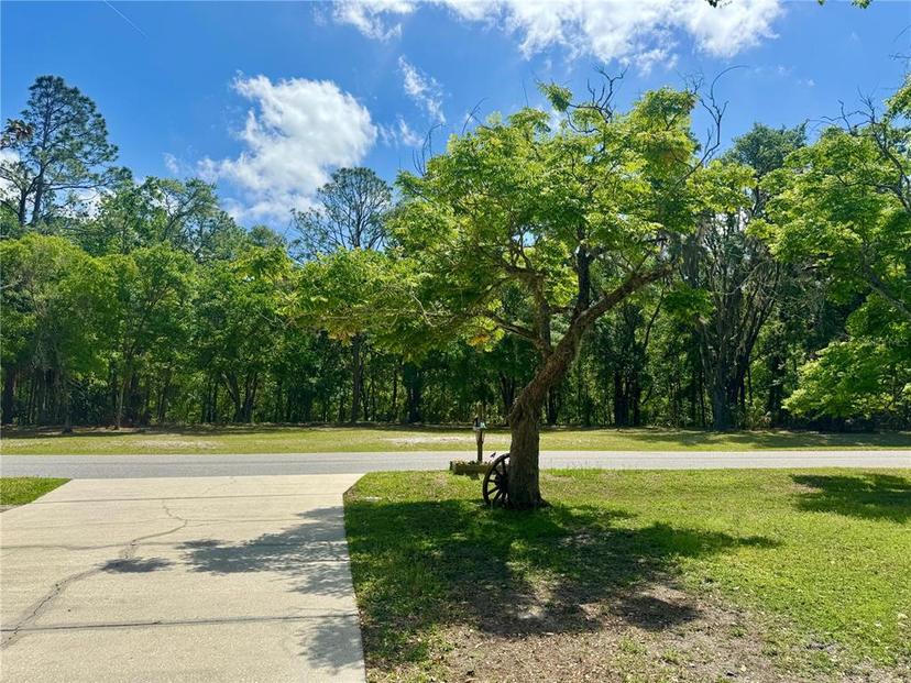 Picture of 5221 Swallow Drive, Land O Lakes FL 34639