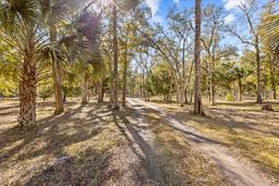 Picture of 135 NE 306Th Avenue, Old Town, FL 32680