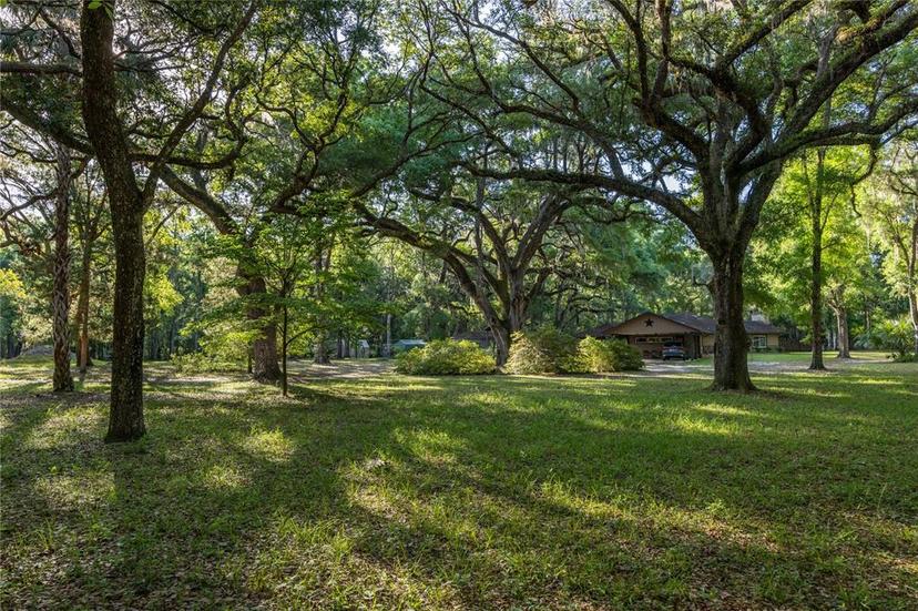 Picture of 5505 SW 114Th Place, Micanopy FL 32667