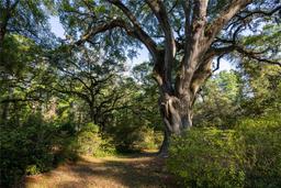 Picture of 5505 SW 114Th Place, Micanopy, FL 32667
