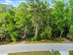 Picture of 102 Wild Plum Lane, Longwood, FL 32779