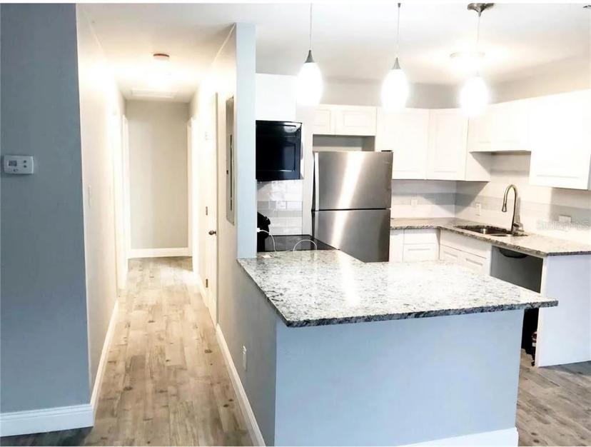Picture of 4009 E Henry Avenue, Tampa FL 33610