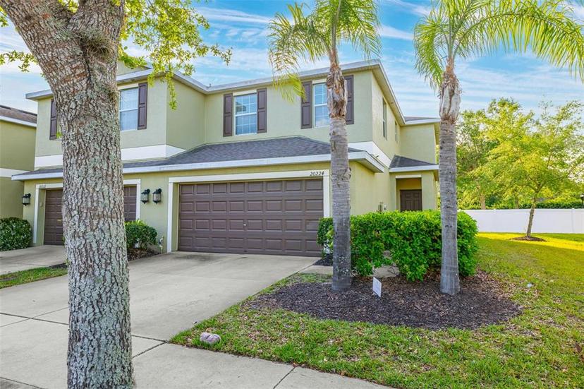 Picture of 20224 Pond Apple Lane, Tampa FL 33647