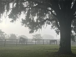 Picture of 8001 SE 7Th Avenue Road, Ocala, FL 34480