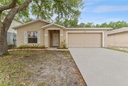 Picture of 13748 Tramore Drive, Odessa, FL 33556