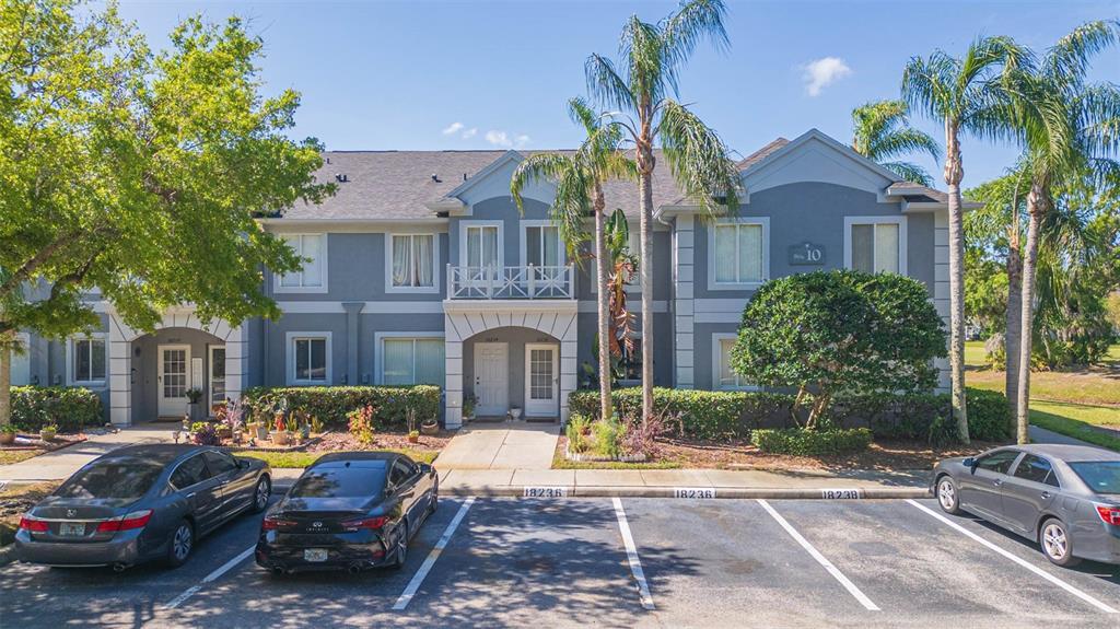 Picture of 18236 Paradise Point Drive, Tampa, FL 33647