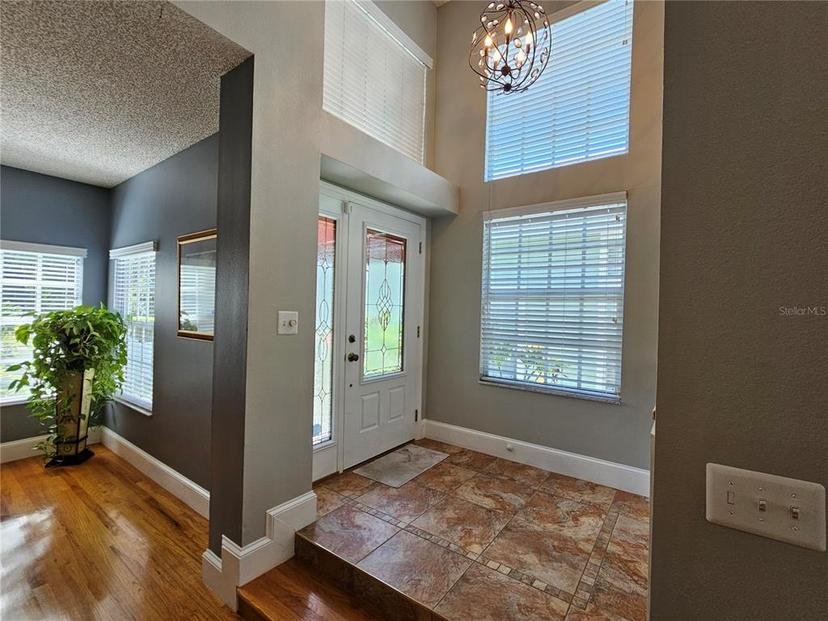 Picture of 5110 Sterling Manor Drive, Tampa FL 33647