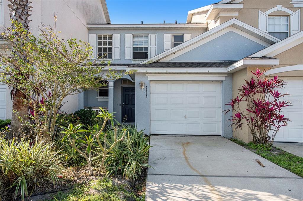 Picture of 6236 Olivedale Drive, Riverview, FL 33578