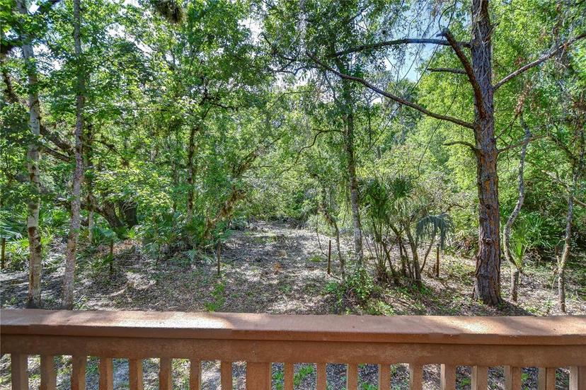 Picture of 4942 Anniston Circle, Tampa FL 33647