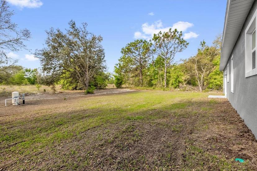 Picture of 75 Guava Terrace, Ocklawaha FL 32179