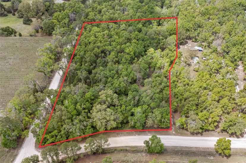 Picture of 1520 SW Drew Feagle Avenue, Fort White FL 32038