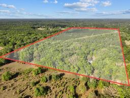 Picture of 15422 SW 50Th Avenue, Archer, FL 32618