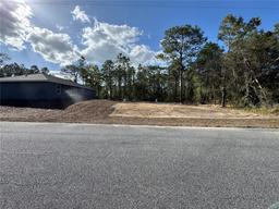 Picture of 237 Locust Lane Drive, Ocala, FL 34472