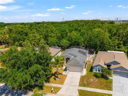 Picture of 25006 Hyde Park Boulevard, Land O Lakes, FL 34639