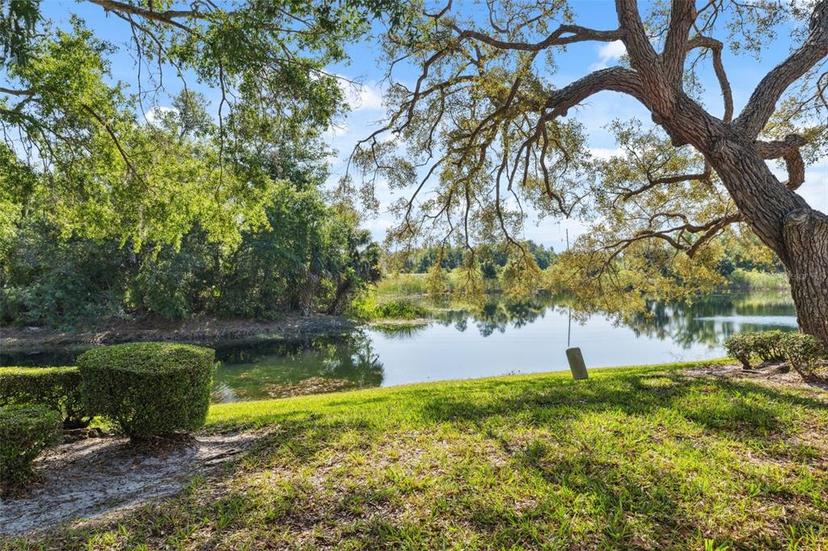 Picture of 7522 Heather Walk Drive, Weeki Wachee FL 34613
