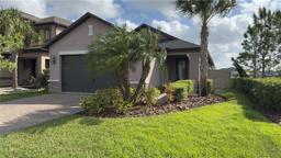 Picture of 4540 San Martino Drive, Wesley Chapel, FL 33543