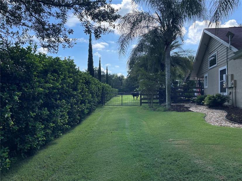 Picture of 3511 Fox Lake Drive, Apopka FL 32712