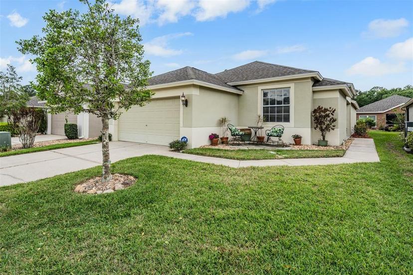 Picture of 5116 Gato Del Sol Circle, Wesley Chapel FL 33544