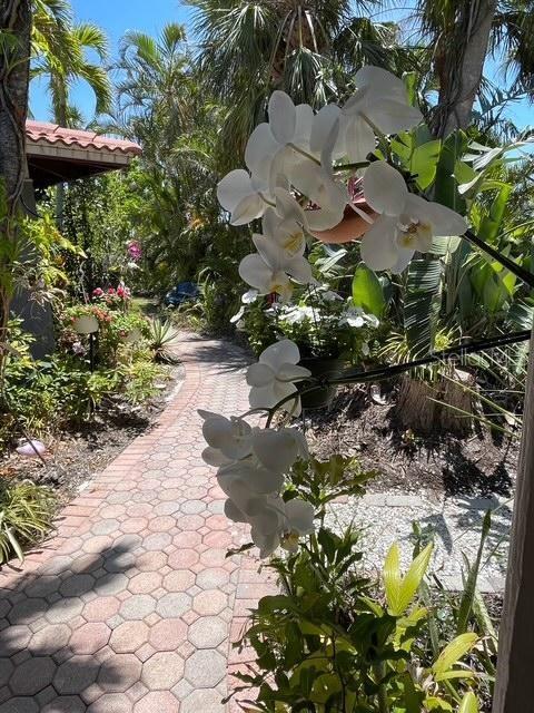 Picture of 501 Sloop Lane, Longboat Key FL 34228