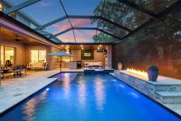 Picture of 12707 Green Heron Way, Odessa, FL 33556