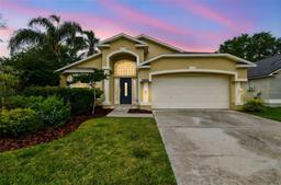 Picture of 10223 Charleston Corner Road, Tampa, FL 33635
