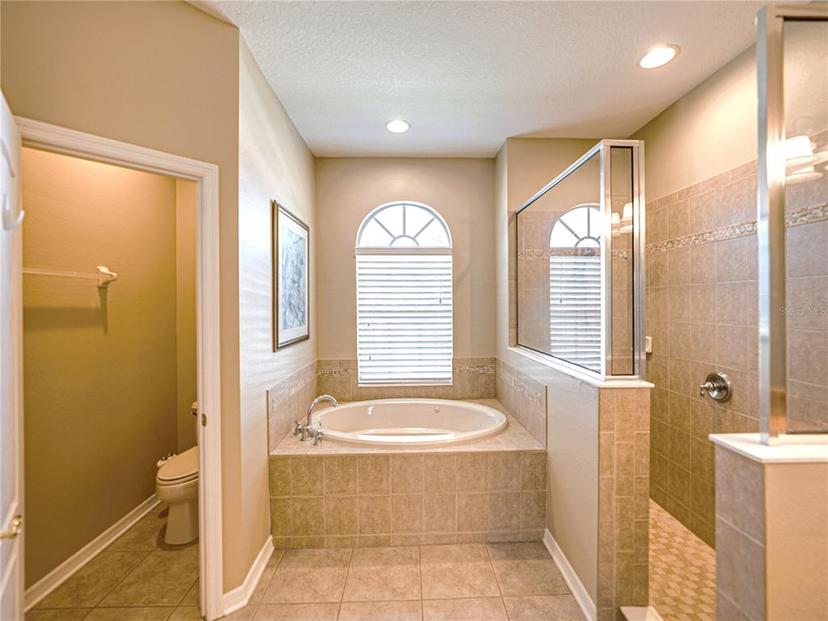 Picture of 13712 Trinity Leaf Place, Riverview FL 33579