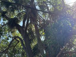 Picture of 2451 Quincy Street S, St Petersburg, FL 33711