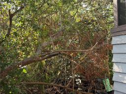 Picture of 2451 Quincy Street S, St Petersburg, FL 33711