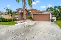 Picture of 18005 Palm Breeze Drive, Tampa, FL 33647