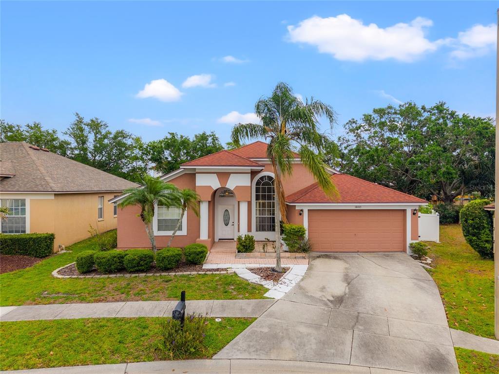 Picture of 18005 Palm Breeze Drive, Tampa, FL 33647