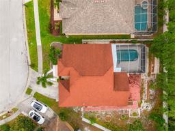 Picture of 18005 Palm Breeze Drive, Tampa, FL 33647