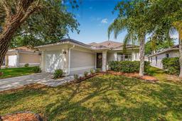 Picture of 18106 Canal Pointe Street, Tampa, FL 33647