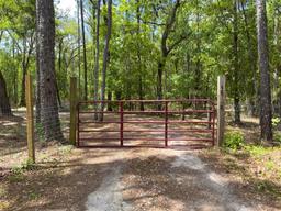 Picture of 18308 Valor Path, Brooksville, FL 34604