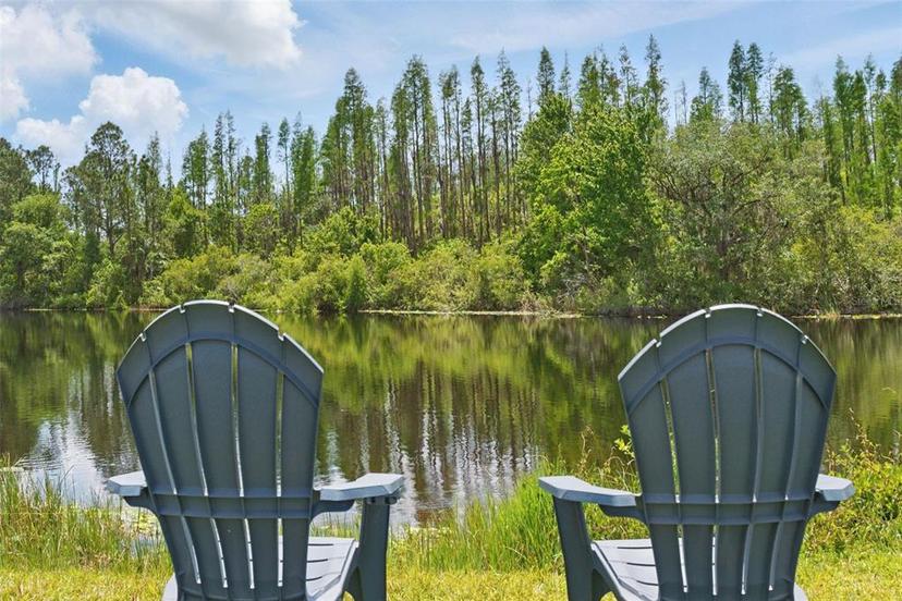 Picture of 11712 Winterset Cove Drive, Riverview FL 33579