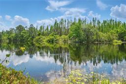 Picture of 11712 Winterset Cove Drive, Riverview, FL 33579