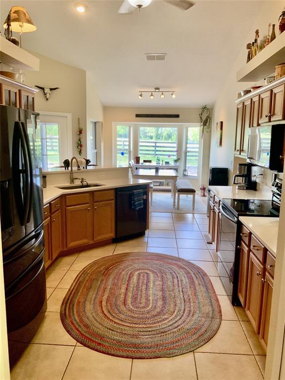Picture of 13590 SE 127Th Place, Dunnellon FL 34431