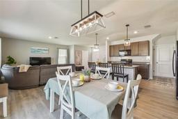 Picture of 32721 Brooks Hawk Ln, Wesley Chapel, FL 33543