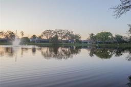 Picture of 2906 Windridge Drive, Holiday, FL 34691