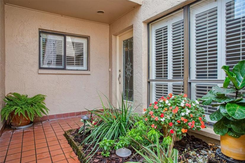 Picture of 4230 Hartwood Lane, Tampa FL 33618