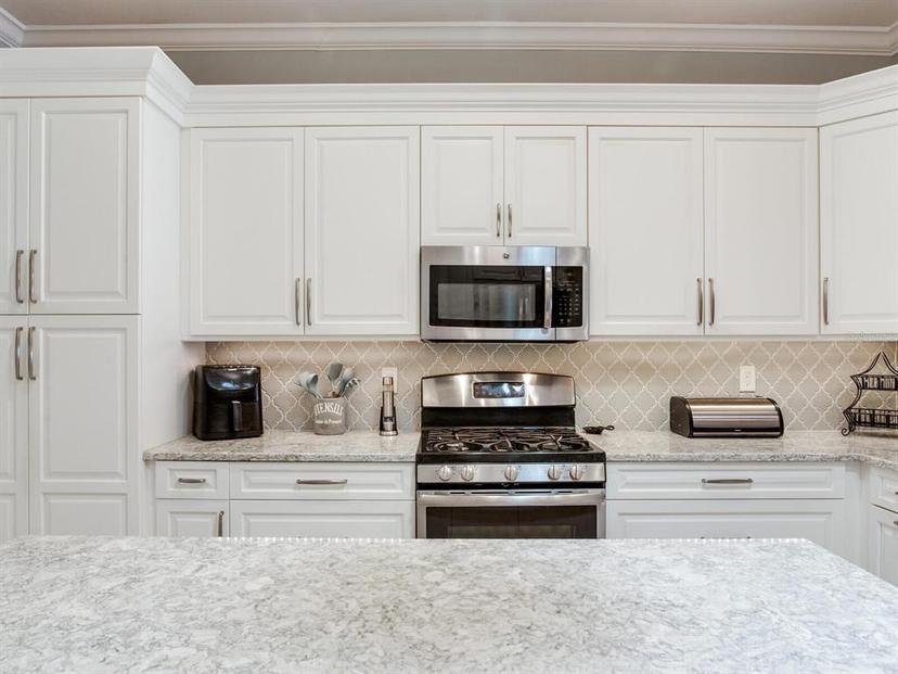 Picture of 19337 Weymouth Drive, Land O Lakes FL 34638