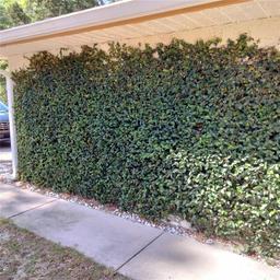 Picture of 805 Hemlock Drive, Apopka, FL 32712