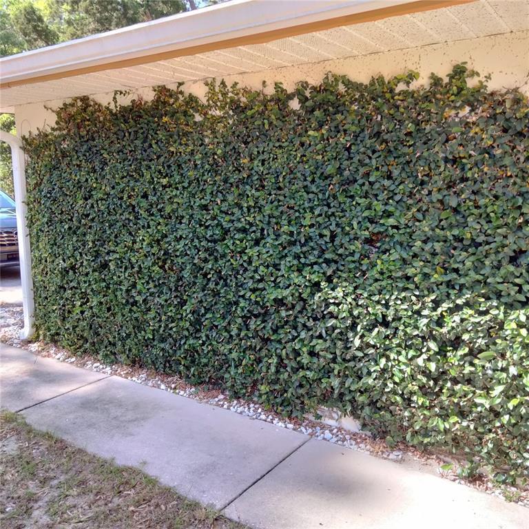 Picture of 805 Hemlock Drive, Apopka FL 32712