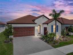Picture of 17403 Holly Well Avenue, Wimauma, FL 33598