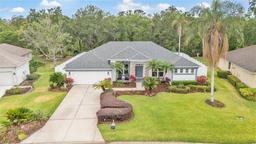 Picture of 2913 Spring Hammock Drive, Plant City, FL 33566