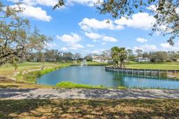 Picture of 11631 Wayside Willow Court, Hudson, FL 34667