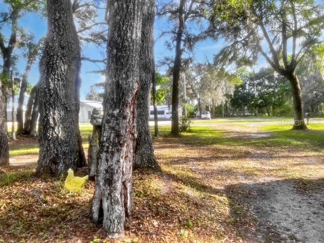 Picture of 7531 NW 165Th Street, Trenton FL 32693