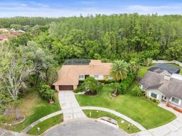 Picture of 12217 Snead Place, Tampa, FL 33624